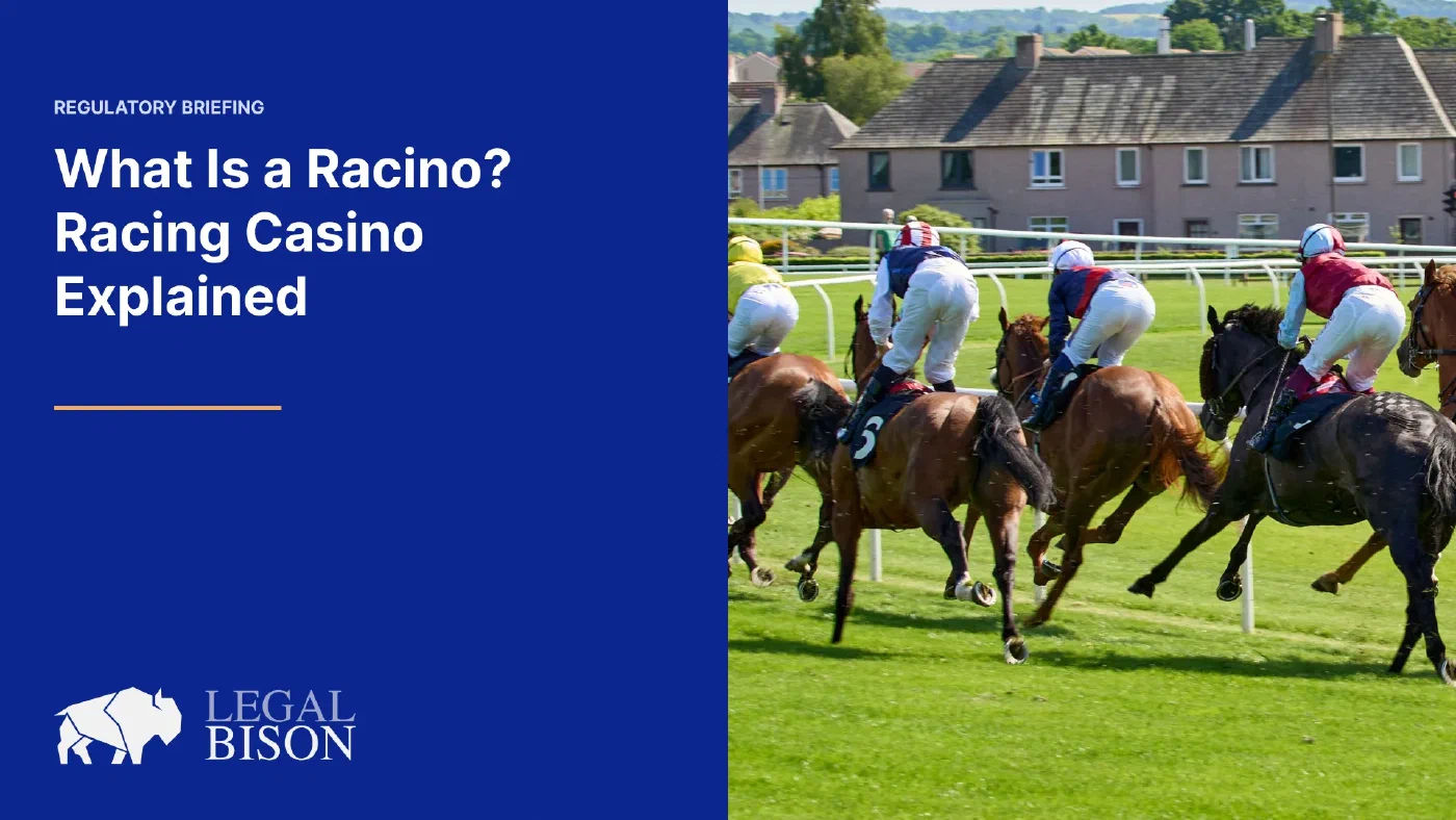 Racino, Explained image