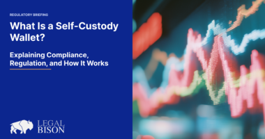 What Is a Self-Custody Wallet? Explaining Compliance, Regulation, and How It Works image